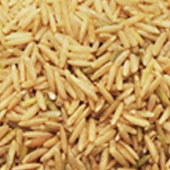 The Latest Products for Agriculture